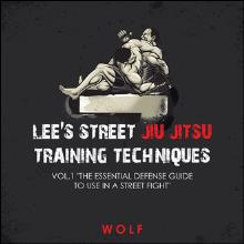 LEE'S STREET JIU JITSU TRAINING TECHNIQUES VOL.1 "THE ESSENTIAL DEFENSE GUIDE TO USE IN A STREET FIGHT"